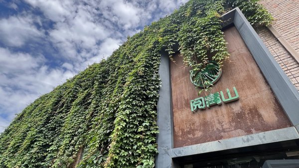 书店里的交响梦：田园交响少儿乐团正式落户阅青山书店